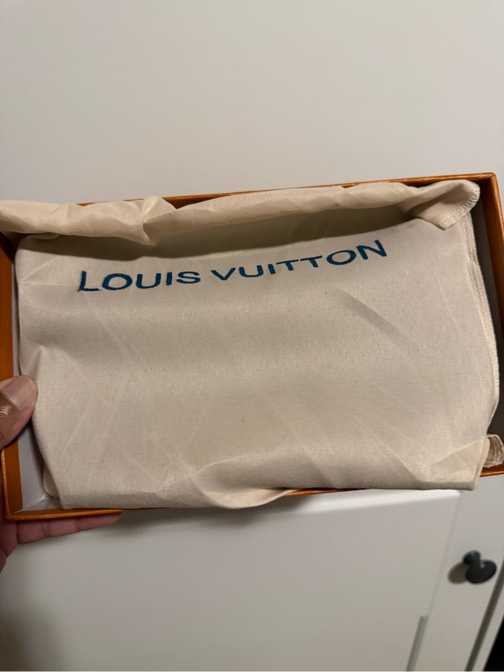 Louis Vuitton Cream Canvas Dust Pouch with Blue Logo